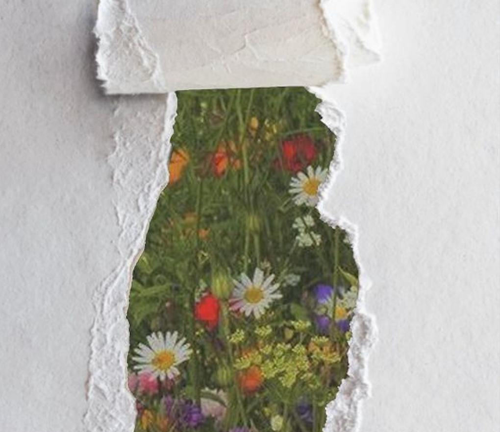 How to reduce your period waste and be sustainable?