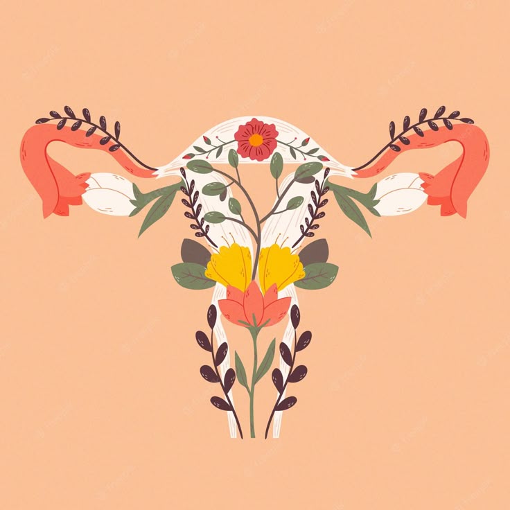 Everything you need to know about your cervix