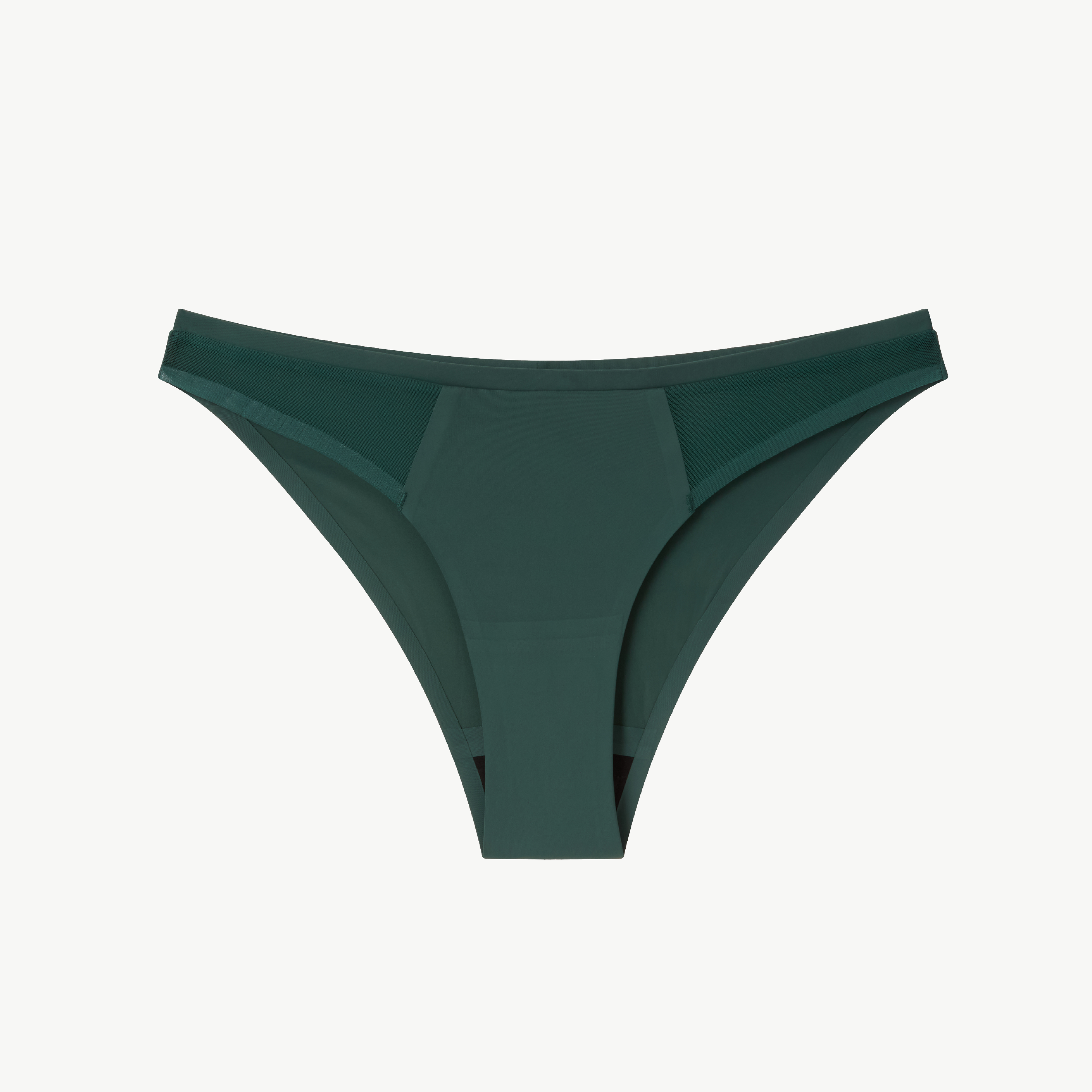 Understatement Micro Period Bikini Briefs
