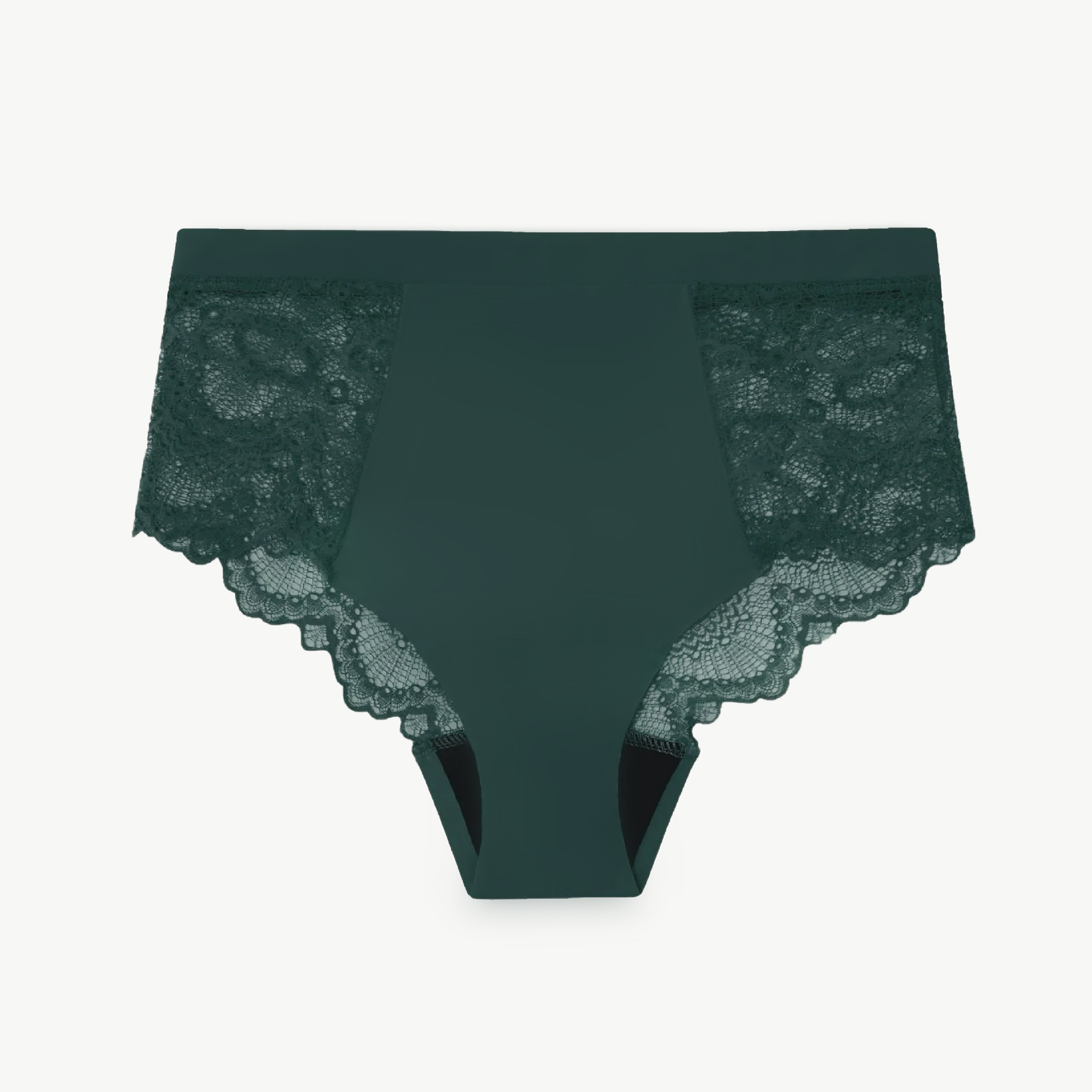 Understatement Lace Period Highwaist Briefs