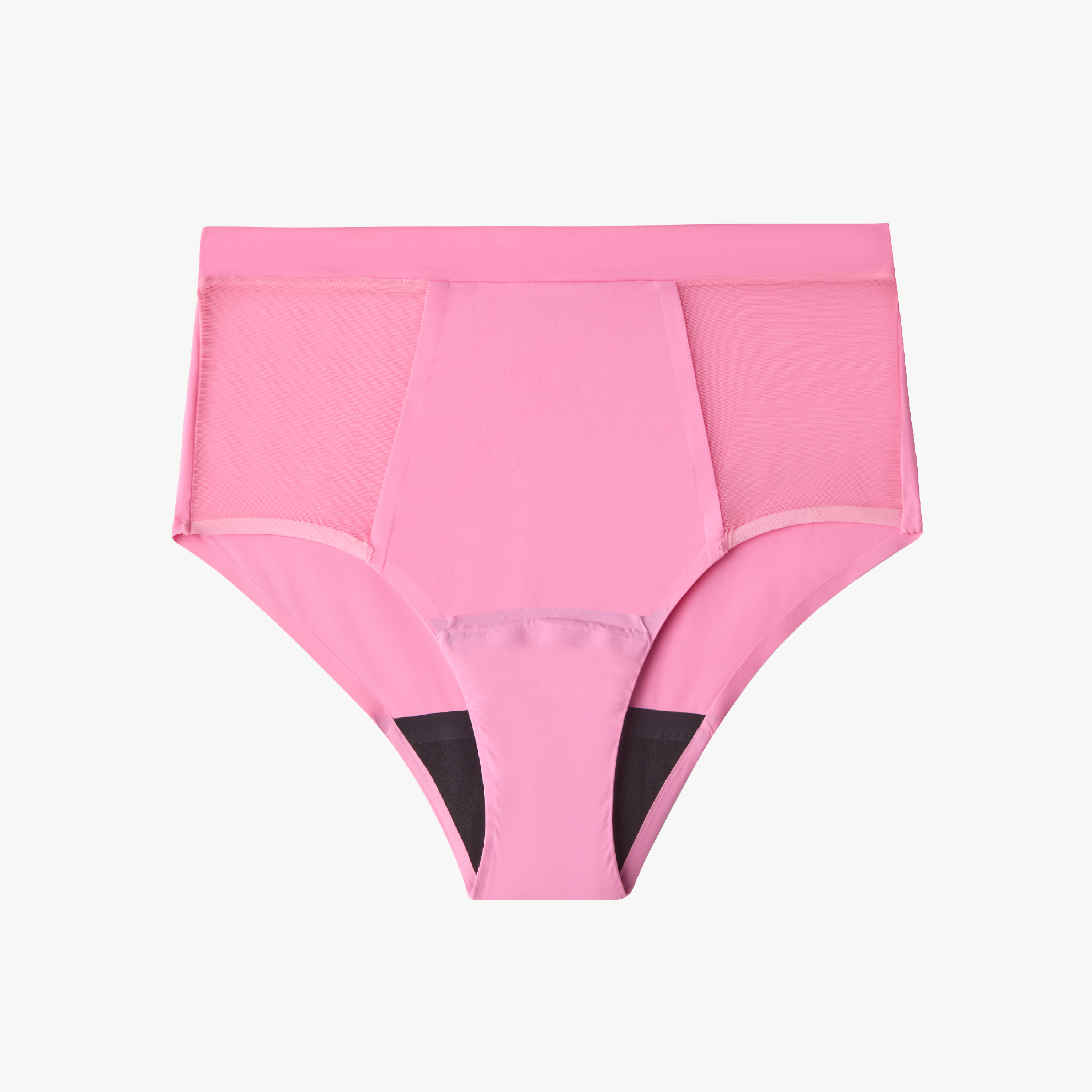 Understatement Micro period highwaist briefs